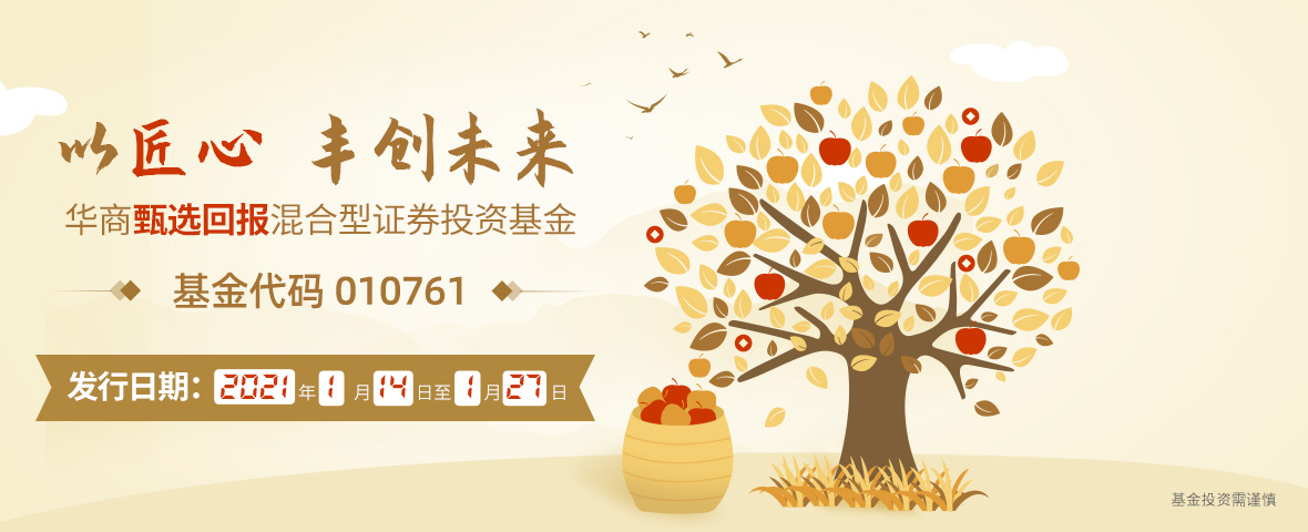banner2-1180x480-1.jpg
