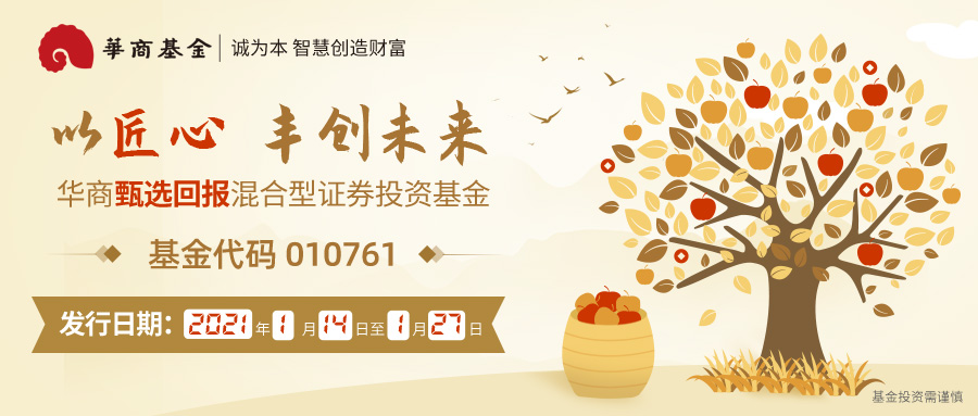 banner3-900x383-1.jpg